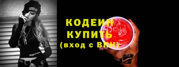 молекула духа Пересвет