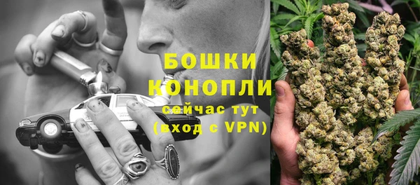 крисы Переславль-Залесский