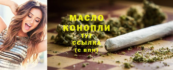 молекула духа Пересвет