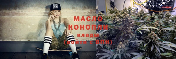 молекула духа Пересвет