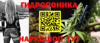 мдма Гусев