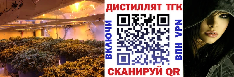 ТГК вейп Назрань