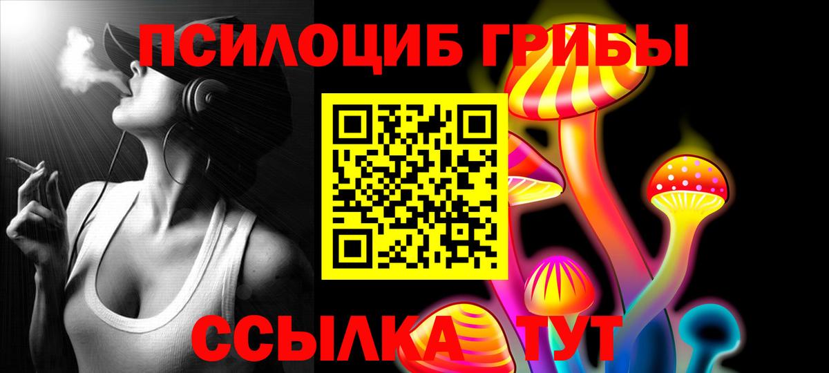 Галлюциногенные грибы мицелий  Вход с VPN  Галлюциногенные грибы мухоморы  Назрань 
